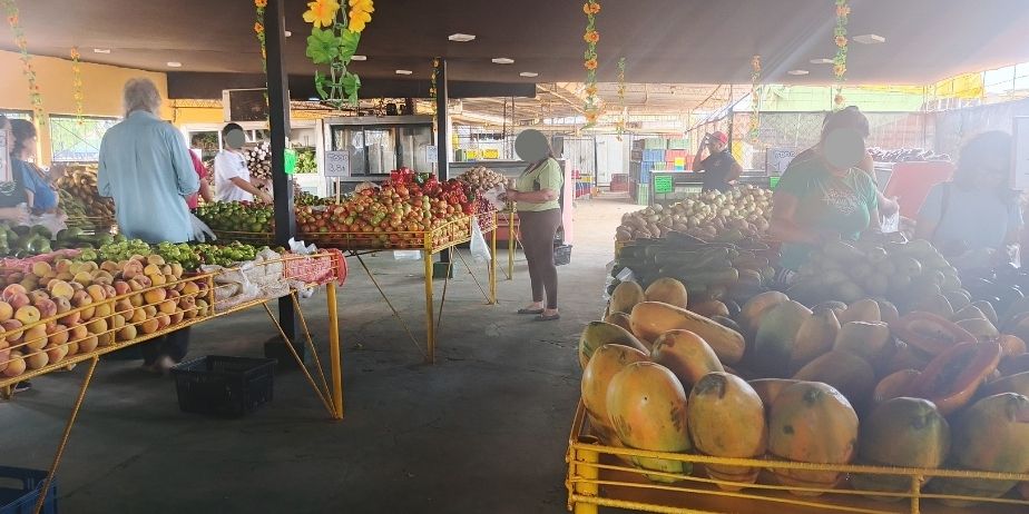FERIA DE HORTALIZAS AGRO-MORA