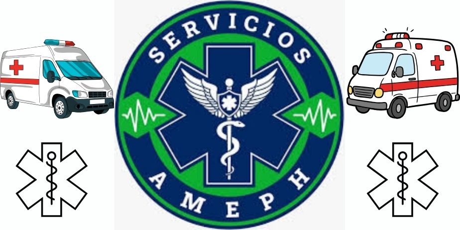 SERVICIOS A.M.E.P.H. GUAYANA