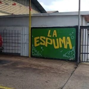 AUTOLAVADO LA ESPUMA