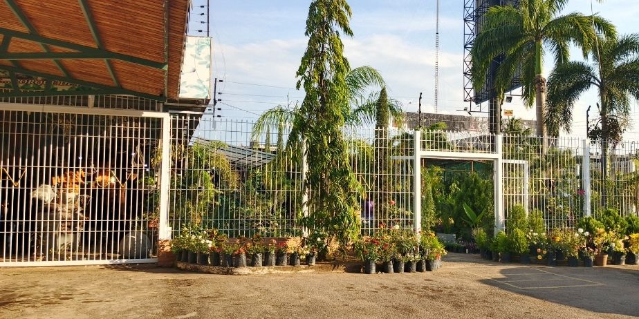 VIVERO JARDIN ALTA VISTA C.A