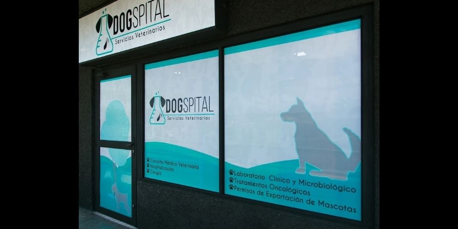 DOGSPITAL – Servicios Veterinarios